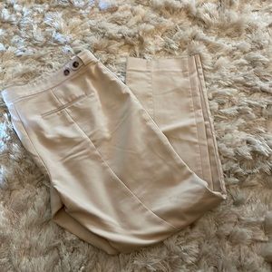 Ann Taylor Khakis Size 14